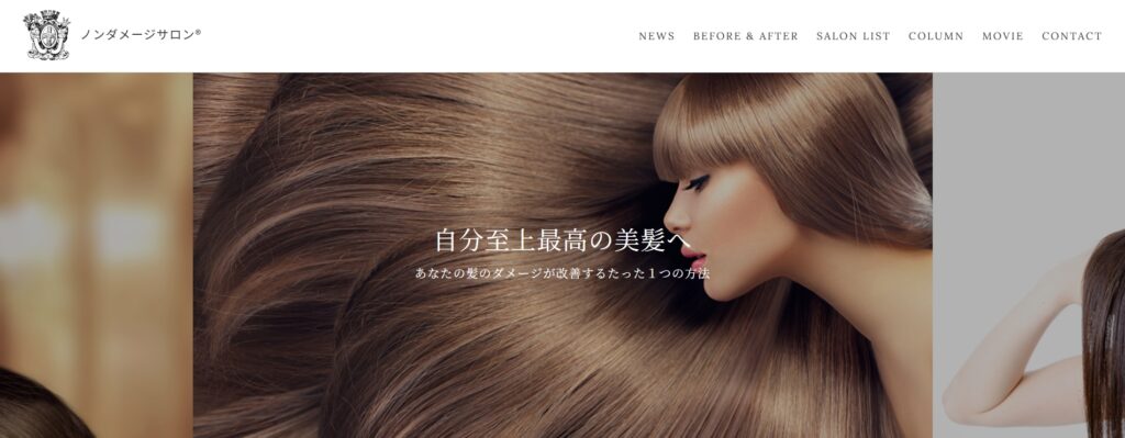 自宅での髪質改善に限界を感じたならノンダメージサロン®︎がおすすめ
